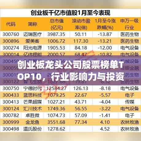 创业板龙头公司股票榜单TOP10,行业影响力与投资机会解析