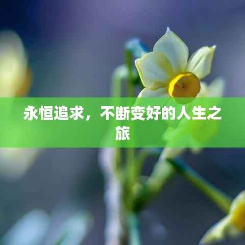 永恒追求,不断变好的人生之旅