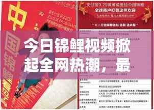 今日锦鲤视频掀起全网热潮,最新动态揭秘!