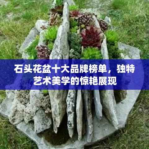 石头花盆十大品牌榜单,独特艺术美学的惊艳展现