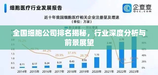 全国细胞公司排名揭秘，行业深度分析与前景展望
