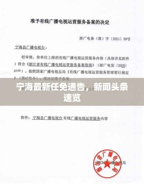 宁海最新任免通告,新闻头条速览