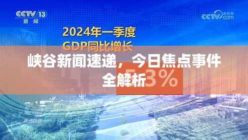 峡谷新闻速递,今日焦点事件全解析
