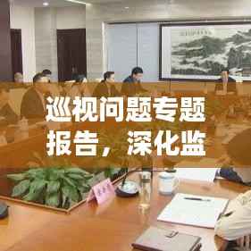 巡视问题专题报告,深化监督,推动全面整改