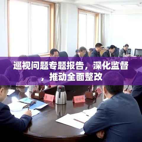 巡视问题专题报告,深化监督,推动全面整改
