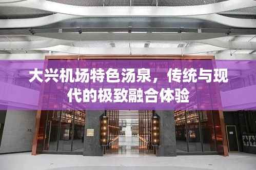 大兴机场特色汤泉,传统与现代的极致融合体验