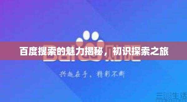 百度搜索的魅力揭秘,初识探索之旅