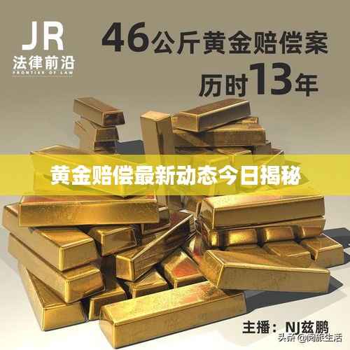 黄金赔偿最新动态今日揭秘