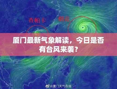 厦门最新气象解读,今日是否有台风来袭?