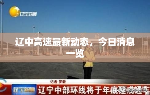 辽中高速最新动态,今日消息一览