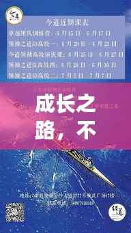 成长之路,不断蜕变与前行