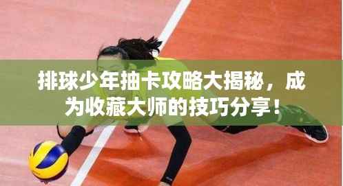排球少年抽卡攻略大揭秘,成为收藏大师的技巧分享!