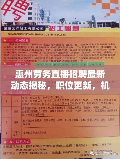 惠州劳务直播招聘最新动态揭秘,职位更新,机会多多!