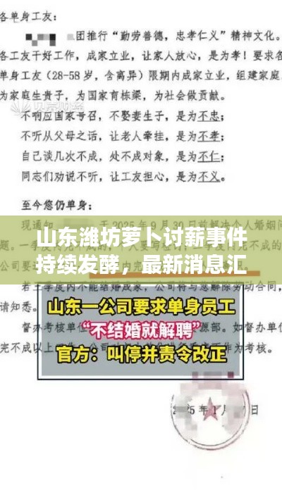 山东潍坊萝卜讨薪事件持续发酵,最新消息汇总关注中
