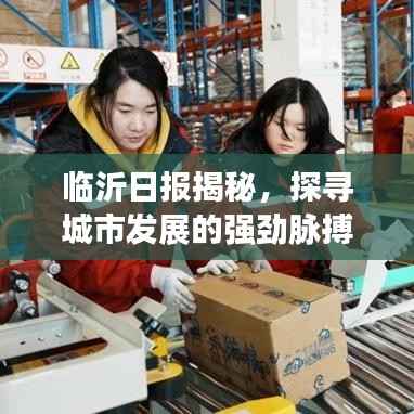 临沂日报揭秘,探寻城市发展的强劲脉搏