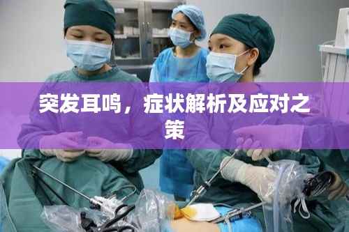 关于我们 第95页