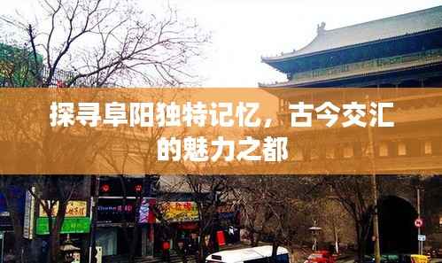 探寻阜阳独特记忆,古今交汇的魅力之都