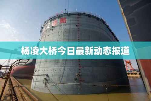 杨凌大桥今日最新动态报道