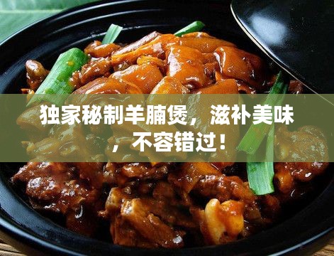 独家秘制羊腩煲，滋补美味，不容错过！