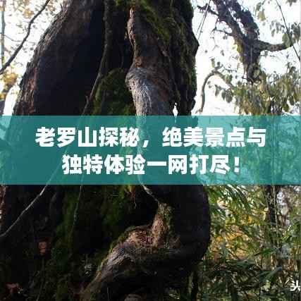 老罗山探秘,绝美景点与独特体验一网打尽!