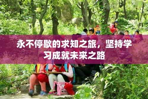 永不停歇的求知之旅,坚持学习成就未来之路