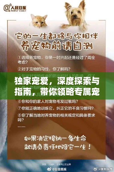 听见风就是雨 第2页