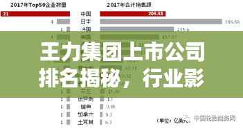 王力集团上市公司排名揭秘,行业影响力不容小觑
