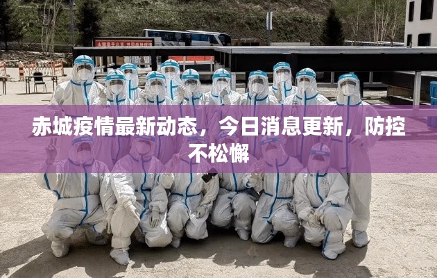 赤城疫情最新动态,今日消息更新,防控不松懈
