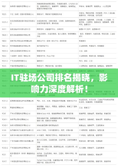 IT驻场公司排名揭晓,影响力深度解析!