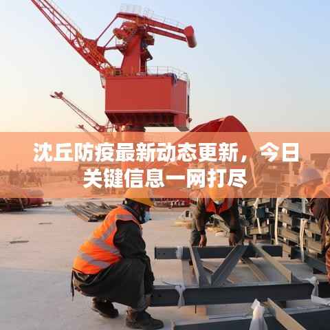 沈丘防疫最新动态更新,今日关键信息一网打尽