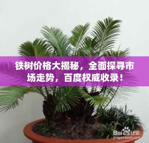 铁树价格大揭秘,全面探寻市场走势,百度权威收录!
