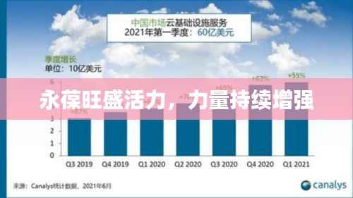 永葆旺盛活力,力量持续增强