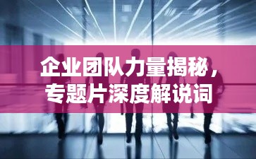 企业团队力量揭秘,专题片深度解说词