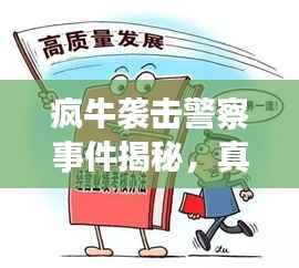 疯牛袭击警察事件揭秘，真相与应对策略