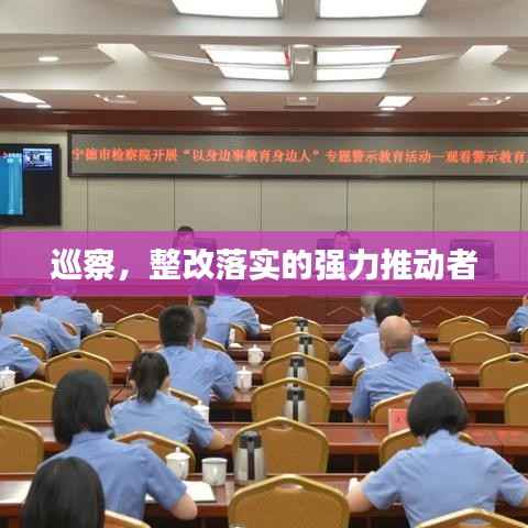 巡察,整改落实的强力推动者