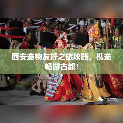 西安宠物友好之旅攻略,携宠畅游古都!