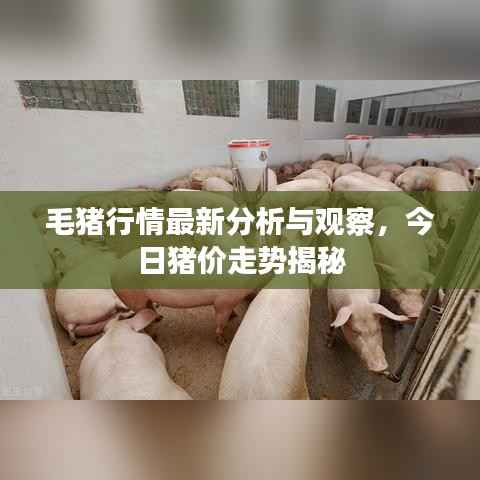 勤学苦练