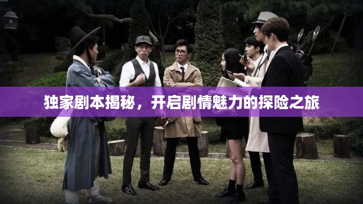 独家剧本揭秘,开启剧情魅力的探险之旅