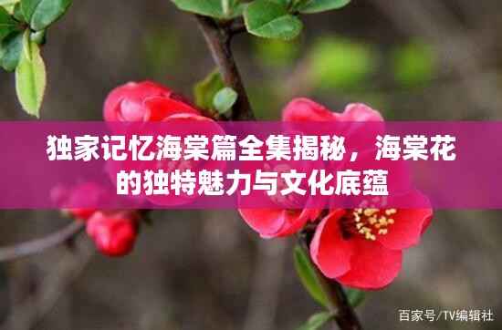 独家记忆海棠篇全集揭秘,海棠花的独特魅力与文化底蕴