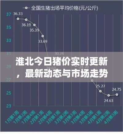 淮北今日猪价实时更新,最新动态与市场走势分析