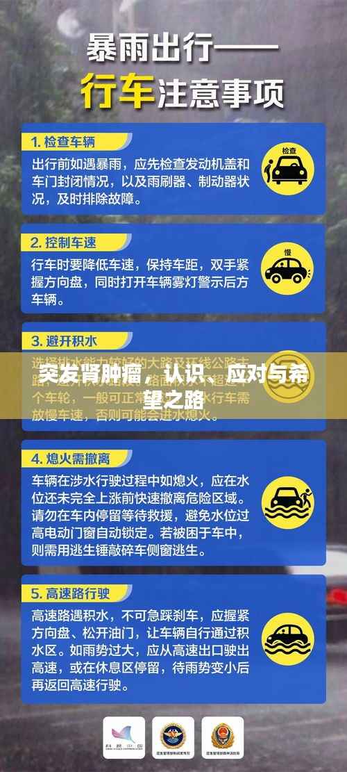 突发肾肿瘤,认识、应对与希望之路