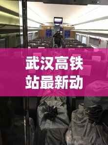 武汉高铁站最新动态速递,今日消息一网打尽!